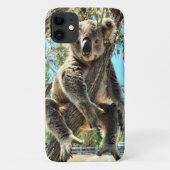 Koala Phone Case (Rückseite)