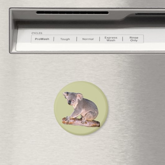 Koala Picture Magnet (In Situ (Geschirrspüler))