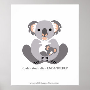 Koala - Plakat