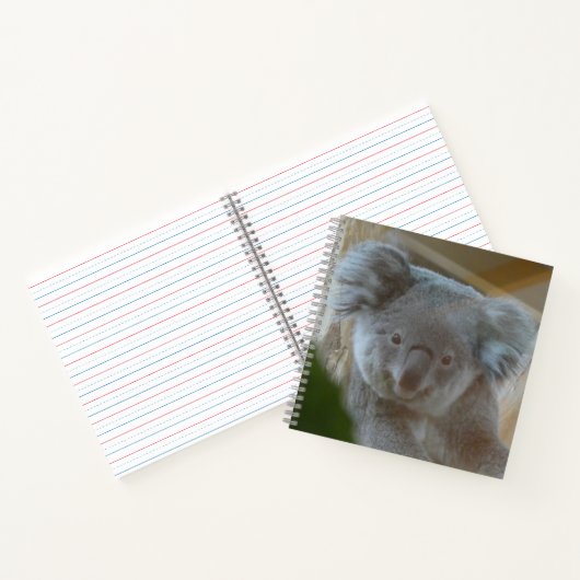 Koala Portrait-Notebook Notizblock (Innenseite)