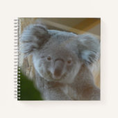 Koala Portrait-Notebook Notizblock (Vorderseite)