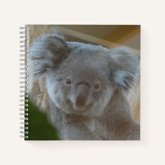 Koala Portrait-Notebook Notizblock (Vorderseite)