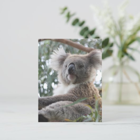Koala Postcard Postkarte (Stehend Vorderseite)