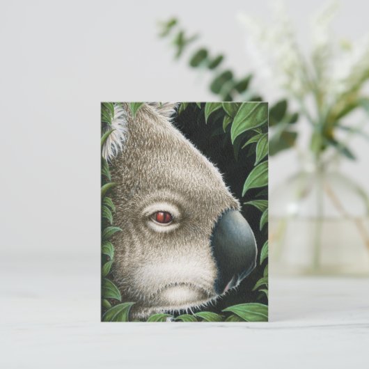 Koala Postcard Postkarte (Stehend Vorderseite)