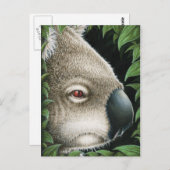 Koala Postcard Postkarte (Vorne/Hinten)