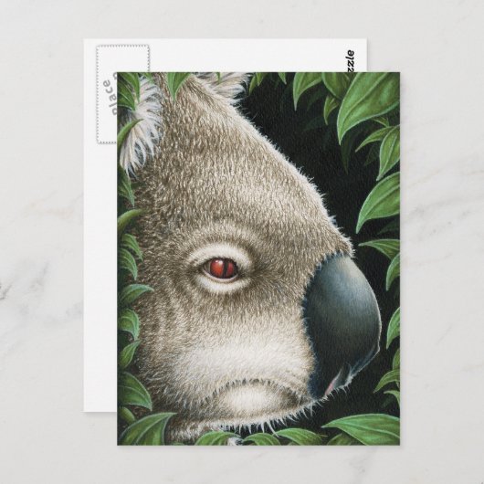 Koala Postcard Postkarte (Vorne/Hinten)