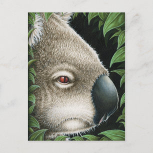 Koala Postcard Postkarte