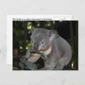 Koala Postcard Postkarte (Vorne/Hinten)