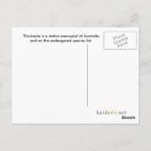 Koala Postcard Postkarte (Rückseite)