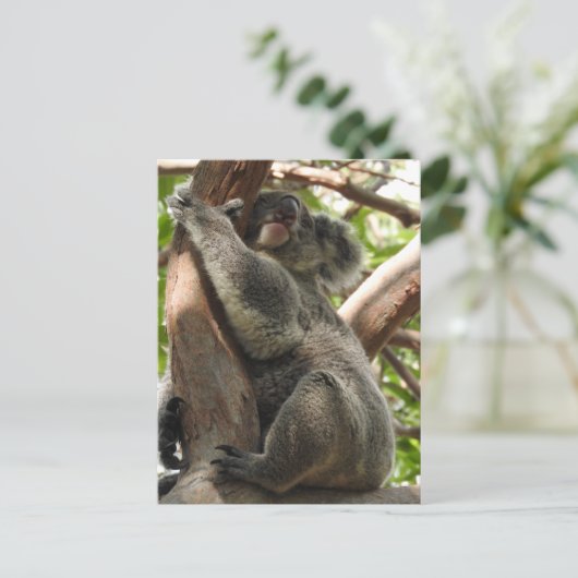 Koala Postcard Postkarte (Stehend Vorderseite)