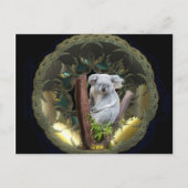 Koala Postcard Postkarte (Vorderseite)