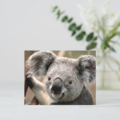 Koala Postcard Postkarte (Stehend Vorderseite)