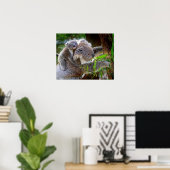 Koala Poster (Heimbüro)