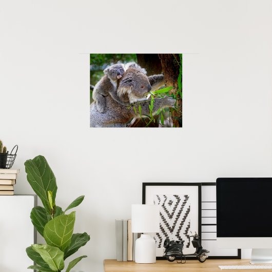 Koala Poster (Heimbüro)