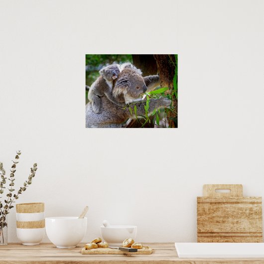 Koala Poster (Küche)