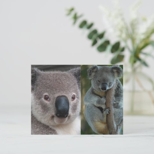Koala Postkarte (Stehend Vorderseite)