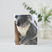 Koala Postkarte (Stehend Vorderseite)