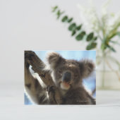 Koala Postkarte (Stehend Vorderseite)