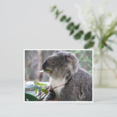Koala Postkarte (Stehend Vorderseite)