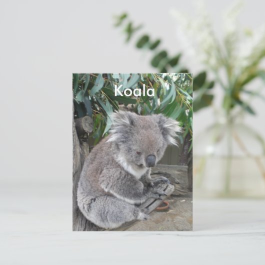 Koala Postkarte (Stehend Vorderseite)