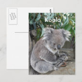 Koala Postkarte (Vorne/Hinten)