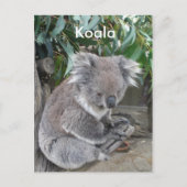 Koala Postkarte (Vorderseite)