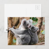 Koala Postkarte (Vorne/Hinten)