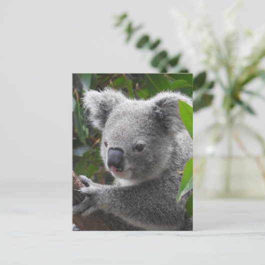 Koala Postkarte (Stehend Vorderseite)