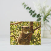 Koala Postkarte (Stehend Vorderseite)