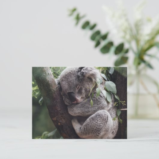 Koala Postkarte (Stehend Vorderseite)