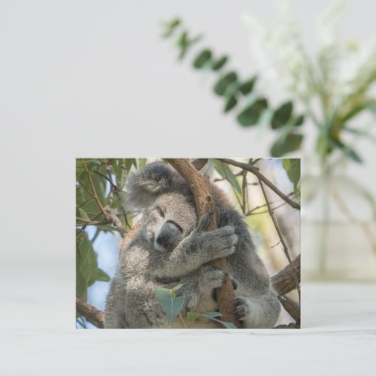 Koala Postkarte (Stehend Vorderseite)