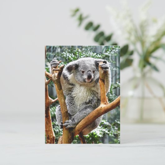 Koala Postkarte (Stehend Vorderseite)