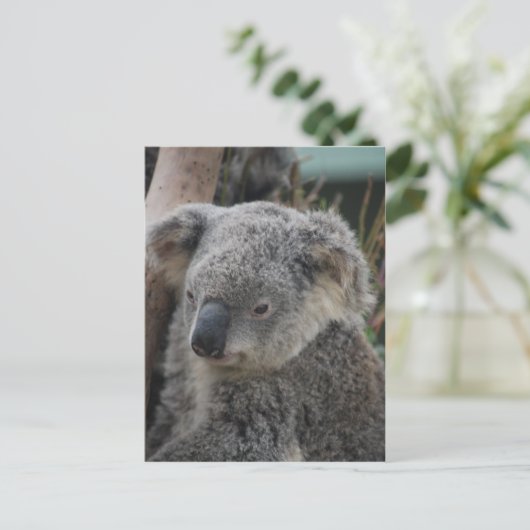 Koala Postkarte (Stehend Vorderseite)