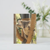 Koala Postkarte (Stehend Vorderseite)