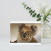 Koala Postkarte (Stehend Vorderseite)