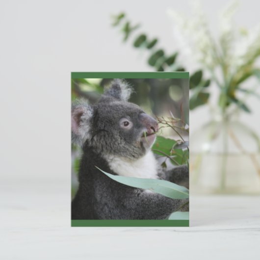 Koala Postkarte (Stehend Vorderseite)