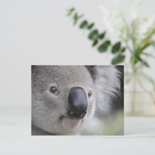Koala Postkarte (Stehend Vorderseite)