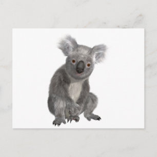Koala Postkarte