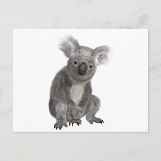 Koala Postkarte (Vorderseite)