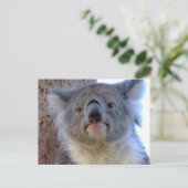 Koala Postkarte (Stehend Vorderseite)