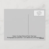 Koala Postkarte (Rückseite)