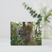Koala Postkarte (Stehend Vorderseite)