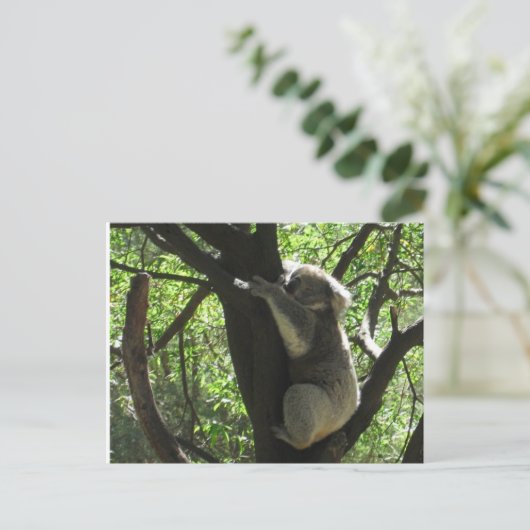 Koala Postkarte (Stehend Vorderseite)
