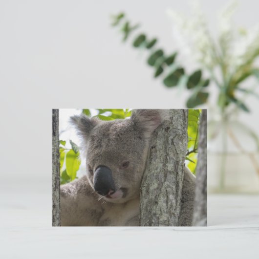 Koala Postkarte (Stehend Vorderseite)