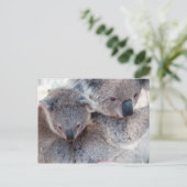 Koala Postkarte (Stehend Vorderseite)