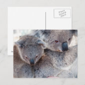 Koala Postkarte (Vorne/Hinten)