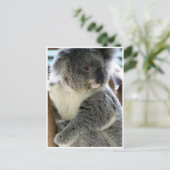 Koala Postkarte (Stehend Vorderseite)