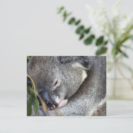 Koala Postkarte (Stehend Vorderseite)