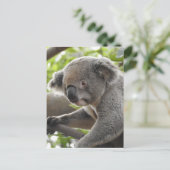 Koala Postkarte (Stehend Vorderseite)