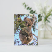 Koala-Postkarte Australien Postkarte (Stehend Vorderseite)